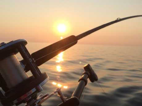 Pesca